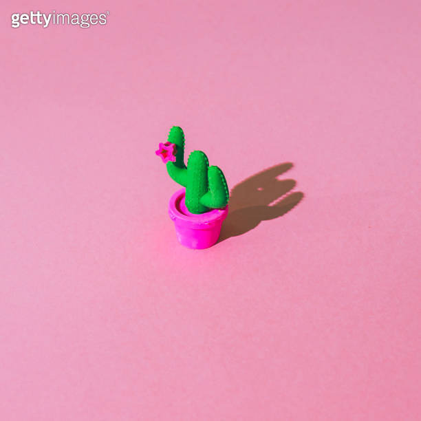 Miniature plastic colorful cactus in pot on pink background with strong ...