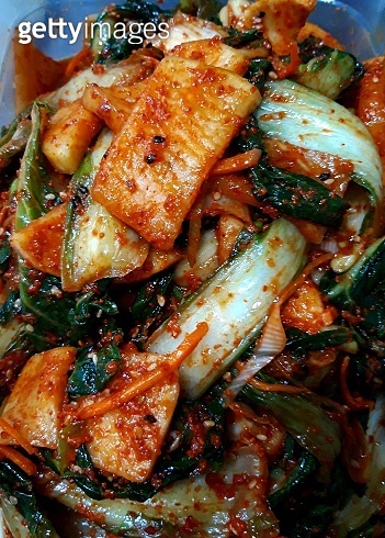 Gatkimchi Spring Kimchi Braised Mackerel Preparing Meals with Raw Chim ...