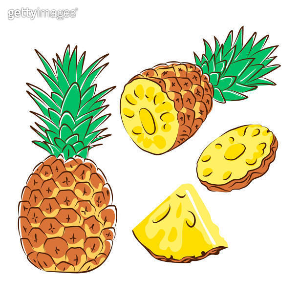 pineapple, half pineapple, slices, cartoon, flat, doodle, sketch