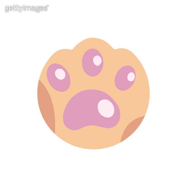 Highlights Stories cover, avatar, emoji paw. 이미지 (1225419241) 게티이미지뱅크