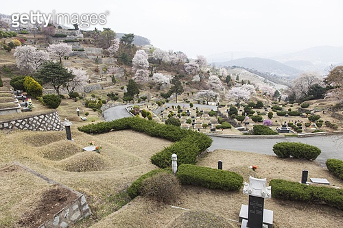 묘지 이미지 (a10510473) - 게티이미지뱅크