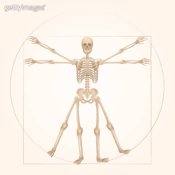Vitruvian skeleton - sacred geometry in graphic art represented by a ...