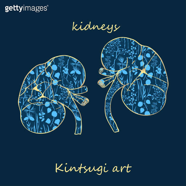 Porcelain kidneys decorated blue plant pattern decorated golden ...
