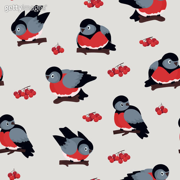 Seamless vector pattern of birds. Tits with red bellies and rowan