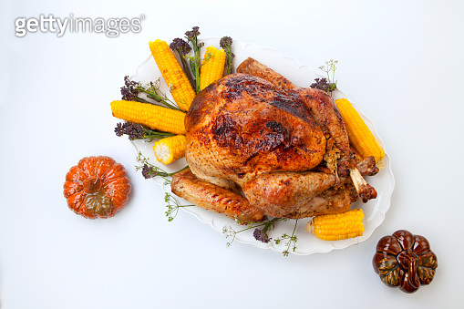 Traditional Fall Roasted Turkey on White With Pumpkin (1345910031) - 게티 ...