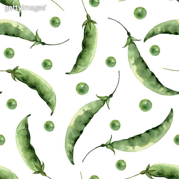 seamless pattern with green pea pods on white background, illustration ...