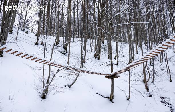 Rope park covered with snow is located in the trees in a desert forest ...