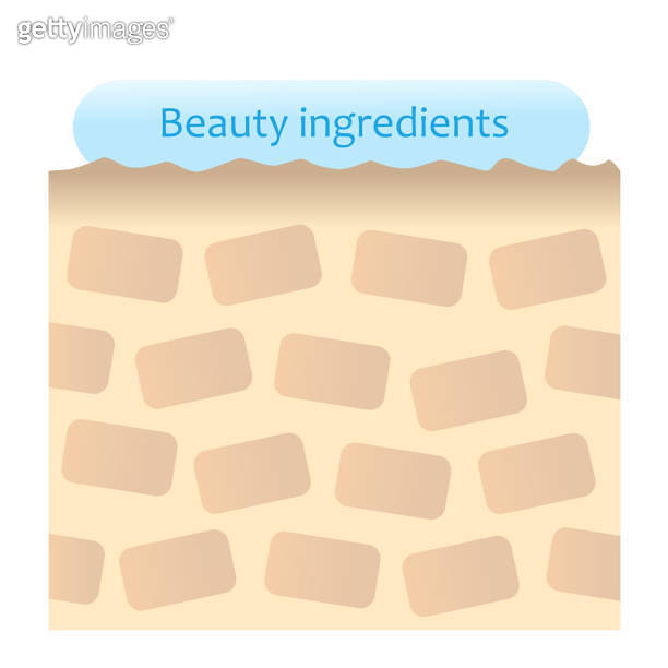 beauty ingredients are not absorbed into skin illustration. Beauty and