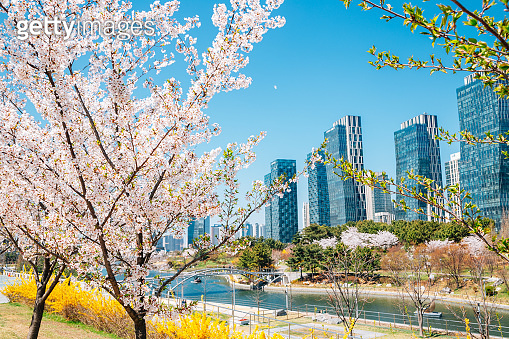 Spring of Songdo Central Park and skyscraper in Incheon, Korea 이미지 ...