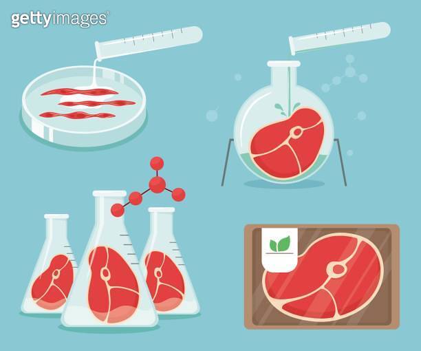 The concept of synthetic meat created in the laboratory. Beef steak in