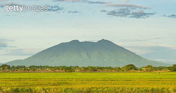 a view of Mount Arayat and it's vast rice field 이미지 (1318451927) - 게티이미지뱅크
