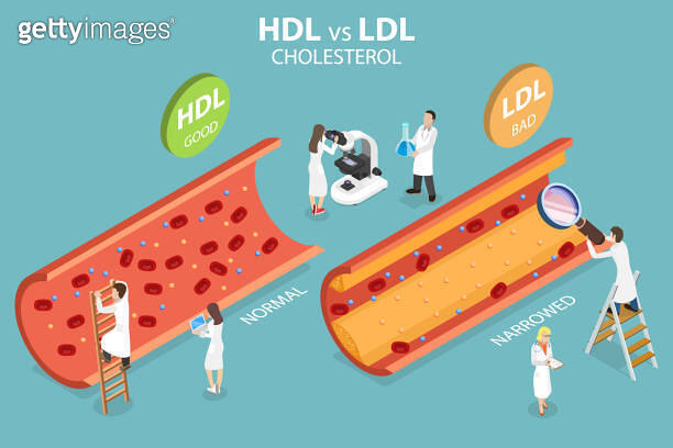 3D Isometric Flat Vector Conceptual Illustration of HDL Vs. LDL ...