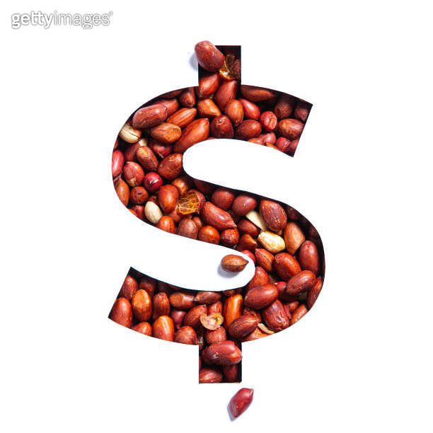 Dollar money sign made of natural peanuts and cut paper isolated on white. Typeface of nuts 이미지