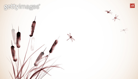 Cattail, reed plant and drafonflies hand drawn with ink in vintage ...