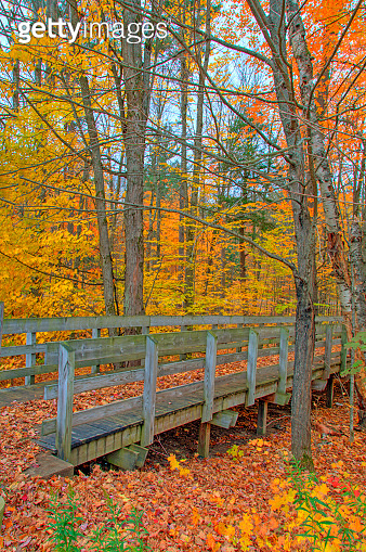 Grailing Path Foot Path Bridge and Fall Leaf Colors near Grayling, Michigan 이미지 ...