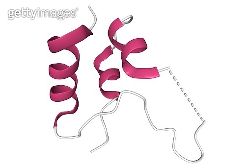 Structure of insulinlike growth factor 1 (IGF1) 이미지 (1316232699) 게티