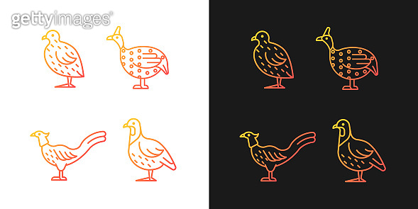 Landfowl gradient icons set for dark and light mode 이미지 (1346355242 ...