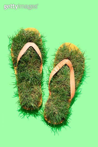 Flip flop with green grass 이미지 (1311312103) - 게티이미지뱅크