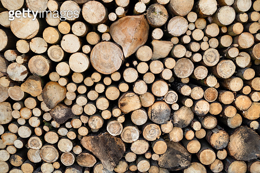 Timber Rounds Background Stacked round timber in close-up, mostly with smaller diameter 이미지 ...