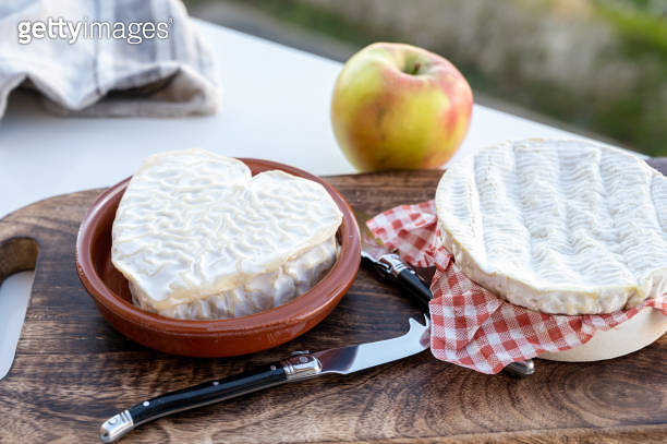 Cheese collection, French cheese from Normandy region, round camembert ...