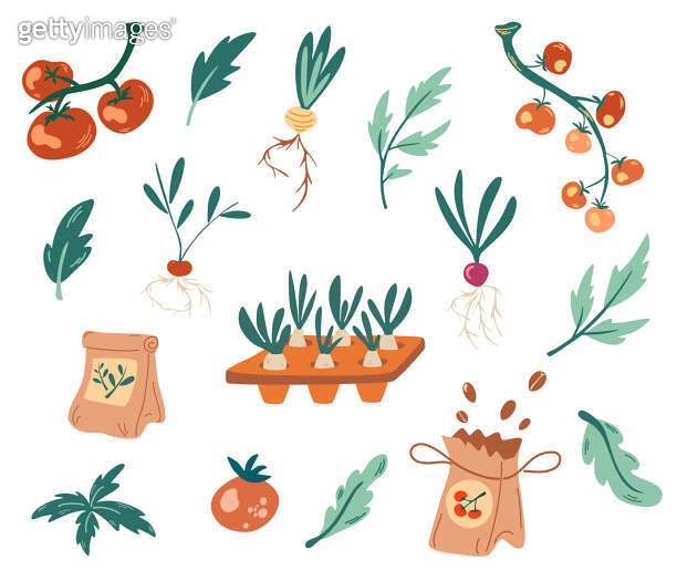 Set of Seedlings. Seeds, fertilizers, seedlings, tomatoes, root crops