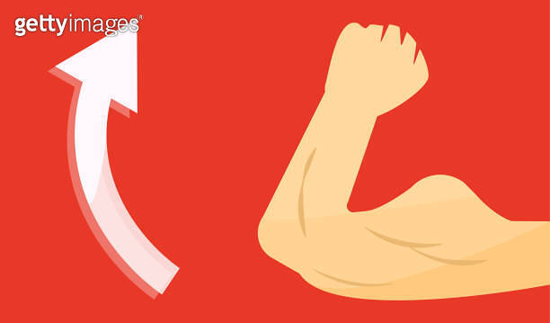 HOW TO INCREASE MUSCLE STRENGTH IN ARMS visual data 8