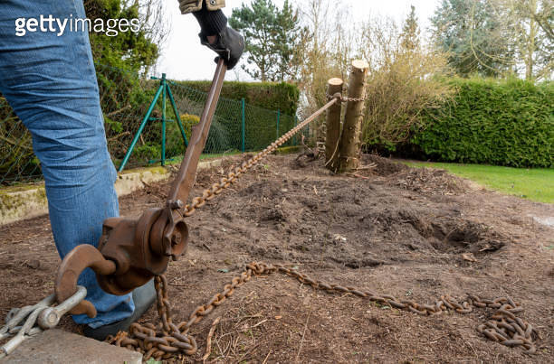 Removing a tree stump with a hoist in the garden. 이미지 (1308436897) - 게티 ...