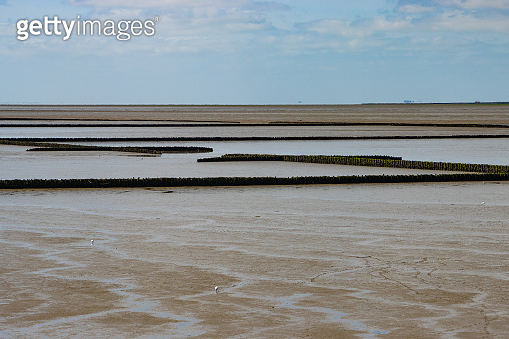 Wood barrier for land reclamation in the wadden sea, north sea Germany ...
