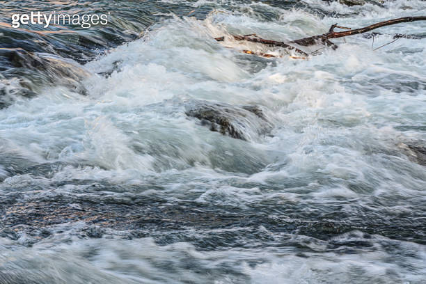 Rapid spring river flowing over rocks and drift tree branches on sunny ...
