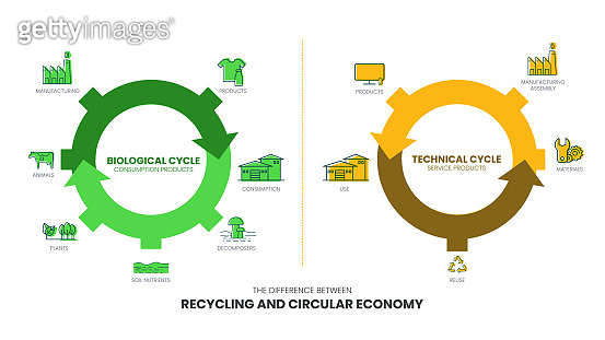The vector infographic diagram of the difference between the circular ...