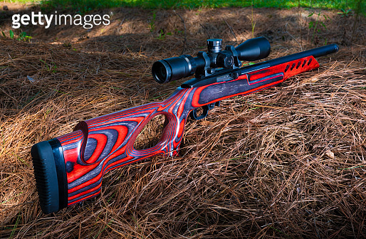 Red Nosed Rifle Rifle with red laminated stock and riflescope (1426852037) - 게티이미지뱅크