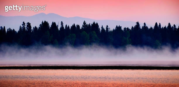 Sunrise Sunset on Lake with Mist Rising from Water Pine Trees and ...