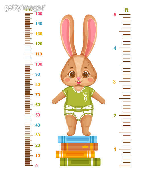 Kids height chart with cute bunny, children growth measuring. Meter ...