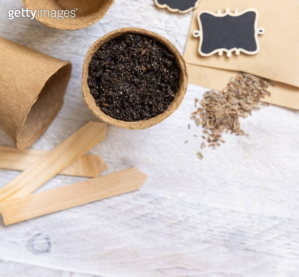 Dill seeds, biodegradable pots and garden tools top view. Indoor
