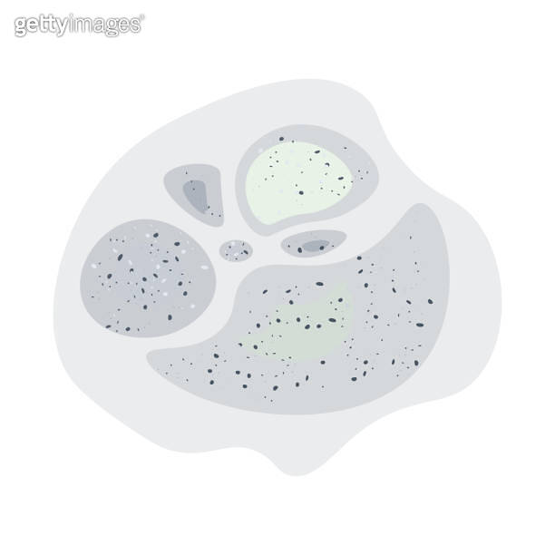 Black mildew. Fungus or mold stains in a damp, humid environment. Toxic