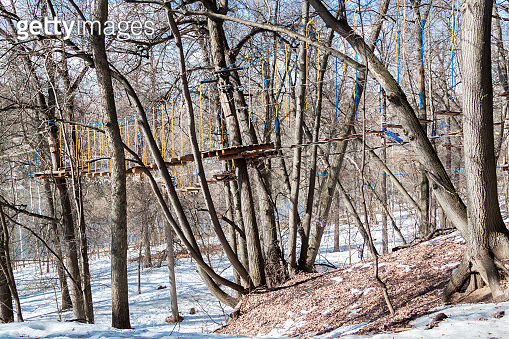 Wooden platform on tree in rope climb park in spring forest. wooden ...