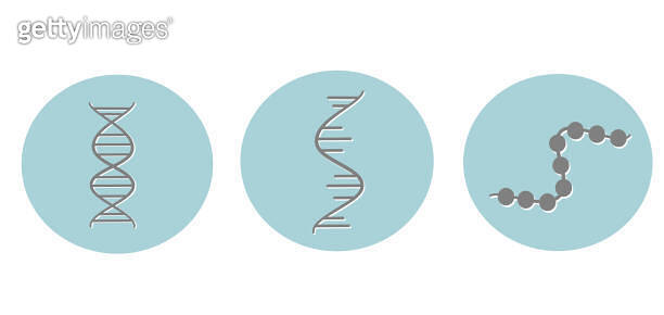 The molecular biology icon of DNA RNA and protein structure 이미지 ...