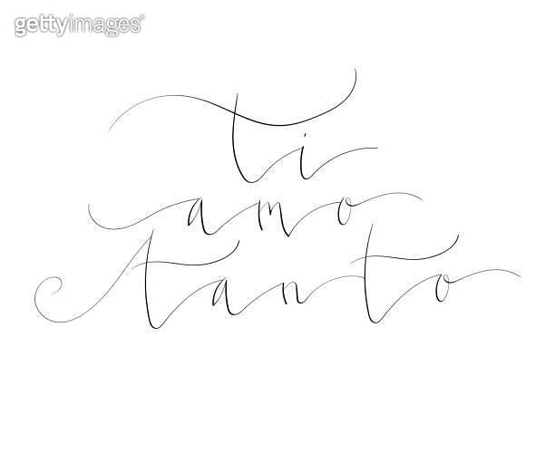 Ti amo tanto I love you very much in Italian handwritten lettering