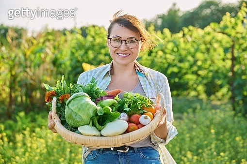Portrait of smiling woman with basket of different fresh vegetables and ...