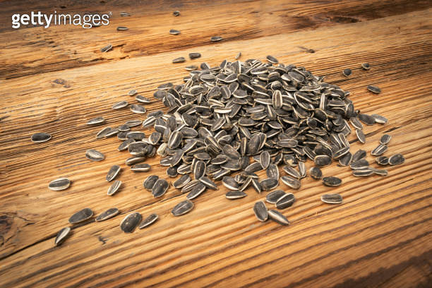Scattered Sunflower Seeds Pile, Striped Raw Seeds on Wood Rusric ...