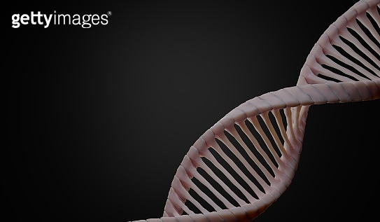 3d render Helix complementary strand of DNA of RNA. Sequences genetic ...