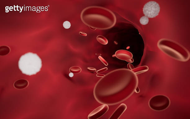 Red and white blood cells in blood vessels, 3d rendering. 이미지 ...