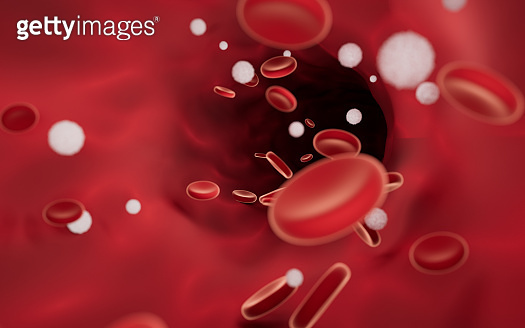 Red and white blood cells in blood vessels, 3d rendering. 이미지 ...