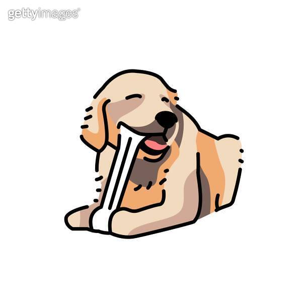 Golder retriever chewing bone color line icon. Pictogram for web page