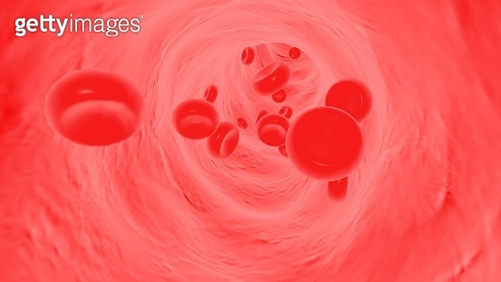 3D rendering,Red blood cells flow in blood vessels 이미지 (1393990830 ...