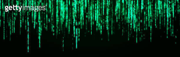 Digital background green matrix. Coding or hacking concept. Flow of ...
