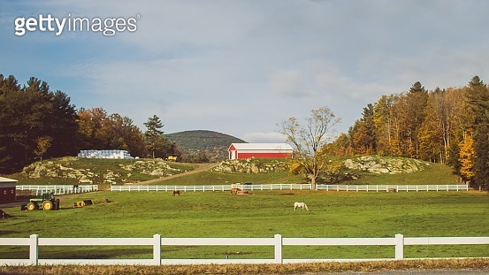Big Tree Ranch A beautiful large ranch with tractors and horses grazing the grass with ...