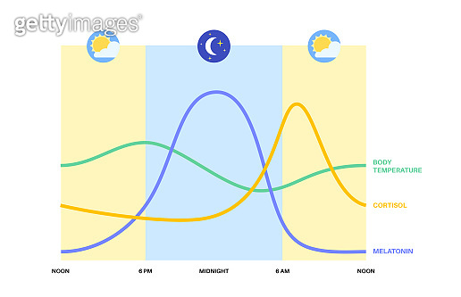 Sleep wake cycle 이미지 (1397809151) - 게티이미지뱅크
