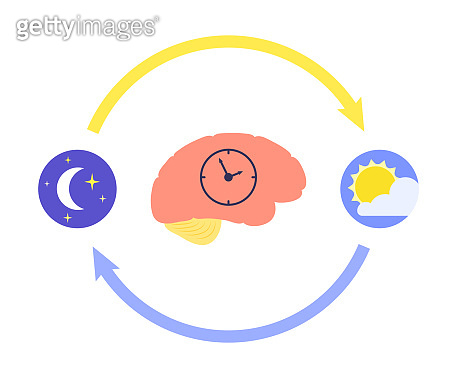 Sleep wake cycle 이미지 (1397809140) - 게티이미지뱅크