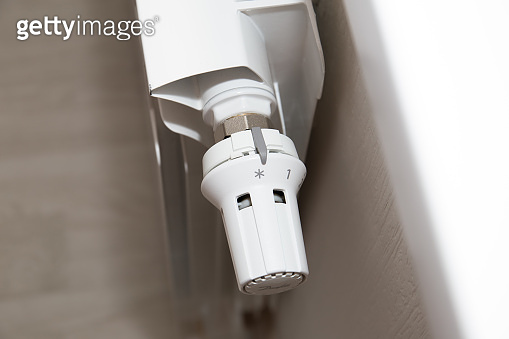 The temperature controller on the radiator is white. 이미지 (1415394904 ...